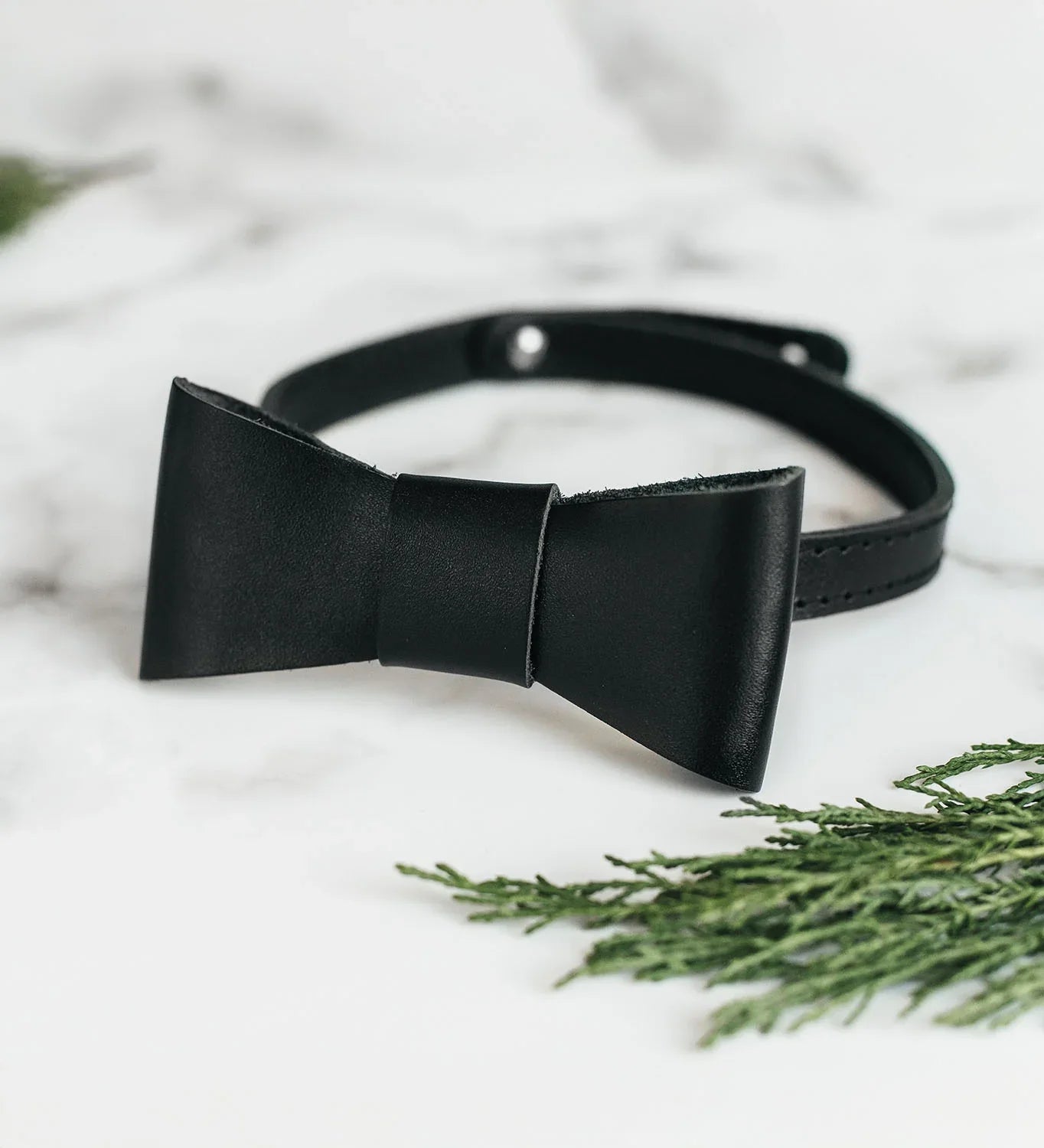 Шкіряний метелик з гладкої шкіри